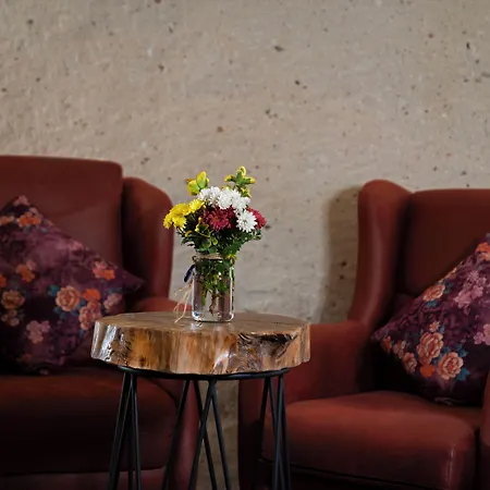 Отель Young Cave *