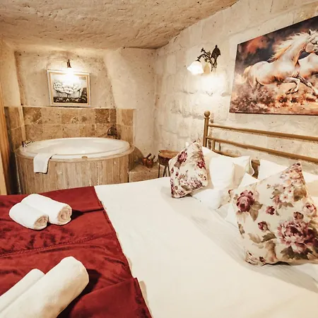 Hotel Young Cave